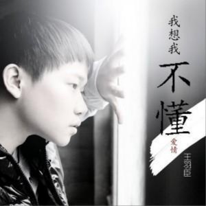 我想我不懂爱情 (深沉版)