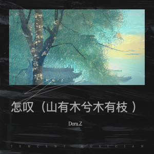 怎叹 (山有木兮木有枝)封面