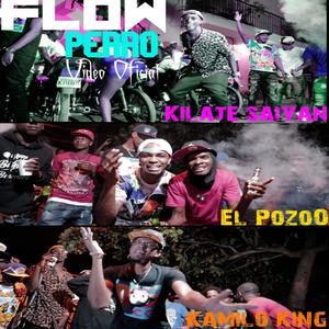Flow Perro(feat. Kilate Saiyan & El pozo)