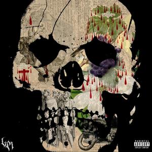 Echoes of a Broken Soul (feat. Bob Gnarly) (Explicit)