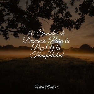 Maravillas Para Dormir