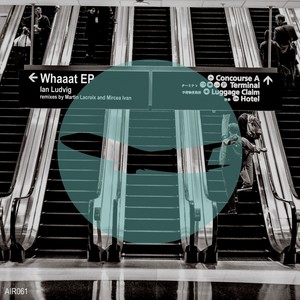 Show Me (Mircea Ivan Remix)