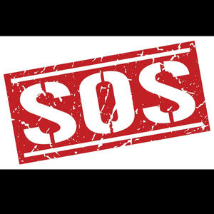 SOS (feat. Luh Bo, DoloDuece & GGM Dak) (Explicit)