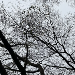 去北极忘记你- Gareth.T-汤令山