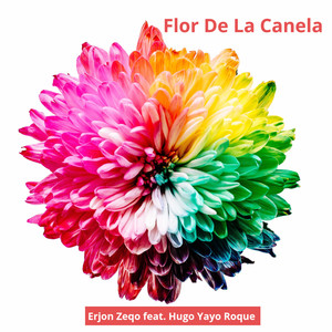 Flor de la Canela (Acoustic)