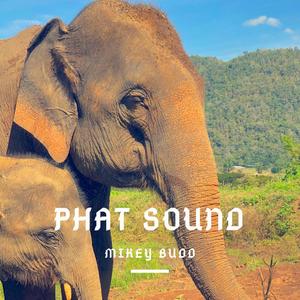 Phat Sound (Explicit)