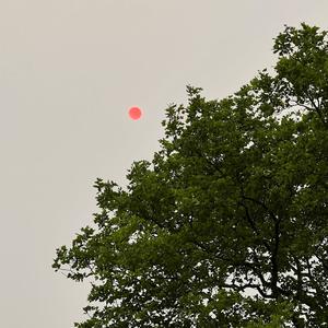 the sky is bleeding in new york rn, bby u alright?