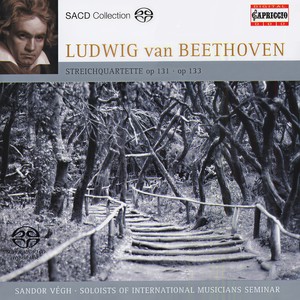 String Quartet No. 14 in C-Sharp Minor, Op. 131 - I. Adagio, ma non troppo e molto espressivo (第一乐章 不过分慢且感情丰富的柔板) (Arr. For String Orchestra)