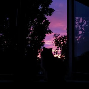 Love is over