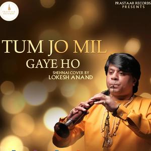 Tum Jo Mil Gaye Ho (Shehnai)