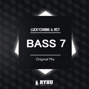 Bass 7