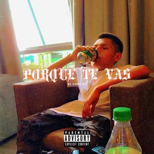 Porque Te Vas (feat. Dham studio)