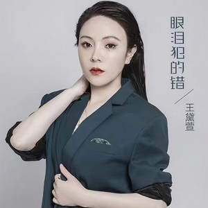 眼泪犯的错 (DJ默涵版)