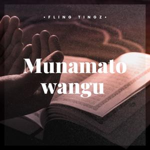 Munamato Wangu