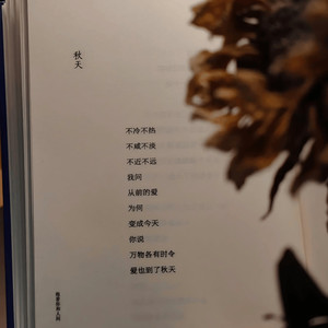 爱也到了秋天