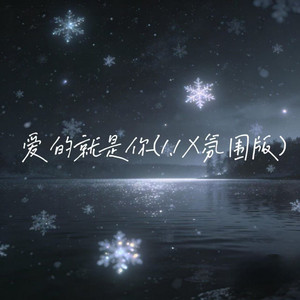 爱的就是你 (1.1X纯享版)