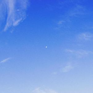 final goodbye (feat. trytoseeghosts) (Explicit)