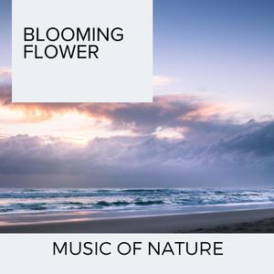 Blooming Flower - Music of Nature