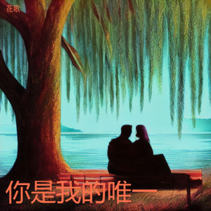 你是我的唯一 (伴奏)