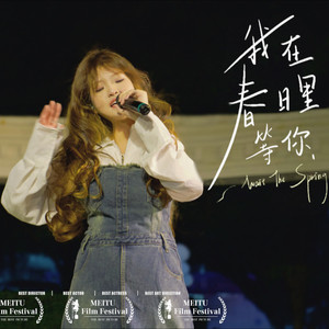 同花顺 (Live)