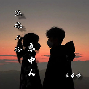 温柔只给意中人