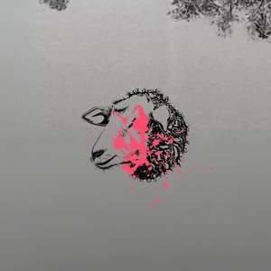 CORDEIRINHO (Explicit)