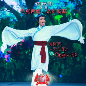 黄梅戏 (天仙配)（龙归大海) 选段 (Live)