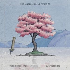 The Uncommon Experience