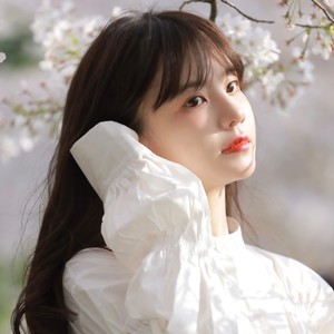 你看,天黑了 (纯音宿命版)