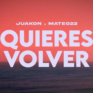 Quieres volver (feat. Mateo22)