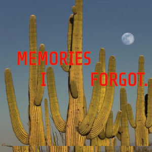 Memories I Forgot (Explicit)