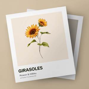 GIRASOLES