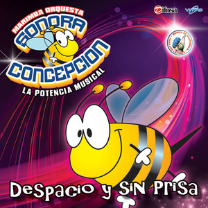 Confundido