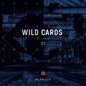 WILD CARDS 01