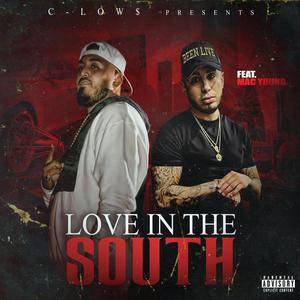 Love in the South (feat. Mac Young) [Explicit]