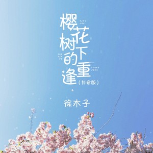 櫻花樹下的重逢(抖音版)