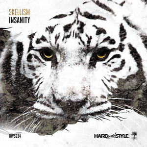 Insanity (Original Mix)