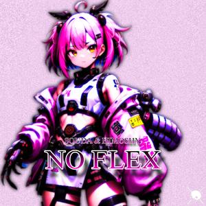 NO FLEX