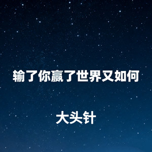 大头针 Official - 输了你赢了世界又如何