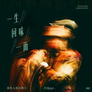 一生回味一面 (我坠入爱河那天)