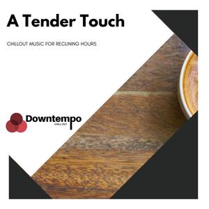 A Tender Touch: Chillout Music for Reclining Hours