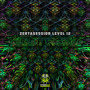 Zentasession Level 12