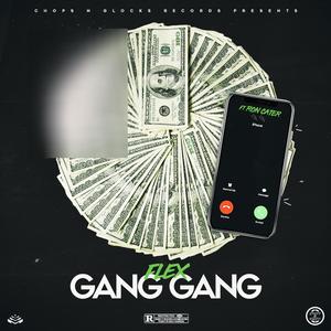 Gang Gang (feat. Ron Cater) (Explicit)