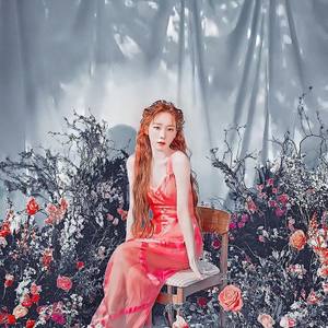 浪漫医生金师傅2.OST(my love)