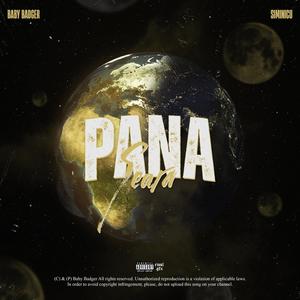 Pana seara (feat. SIMINICU)