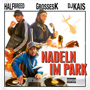 Nadeln im Park (Explicit)