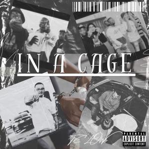 In A Cage (feat. JPbeatz) (Explicit)