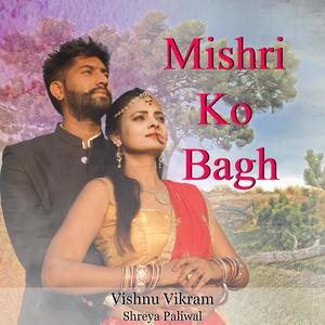 Mishri ko Bagg (feat. Shreya Paliwal)