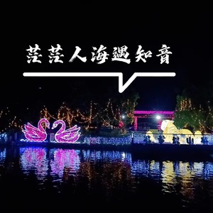 人海茫茫遇知音 (伴奏)