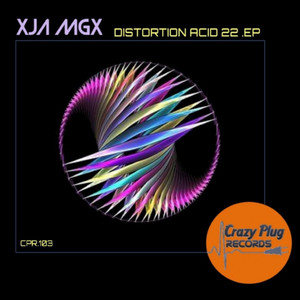 Distortion acid22